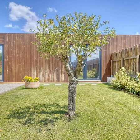 Caju Villas Montargil - Villa Farinha Branca Eksteriør billede